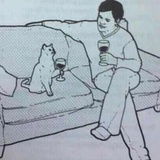 十七只猫和鱼
