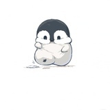 舟