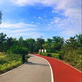 玩摄影的Mark