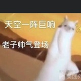 只因有你_