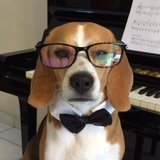 Dr. Beagle