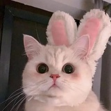 清瑜