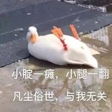 鹅鹅鹅