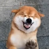 行生