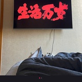 黄怼怼