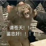 黑斯廷斯