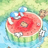 夏沫也