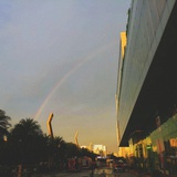 葡萄树上的蜗牛