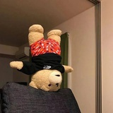哈喽我来了