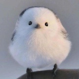 星卷篇章