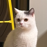 禾光
