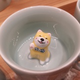🍊橘子皮
