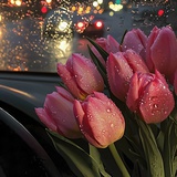 བསམ་སྐྱིད་卓玛