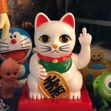 木心木