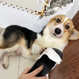 nomo