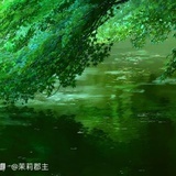 鱼鱼鱼