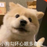 🍐（转生