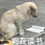 因其荒谬，我才