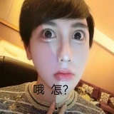 想吃麦辣鸡腿堡