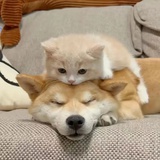 冷。