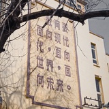江湖蛾子