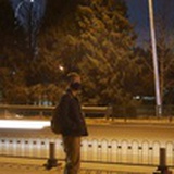 忍冬
