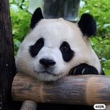 逛逛看看