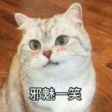 简之