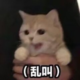 你在教我做事