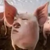 恋足疯子