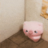 爆炒猪大肠
