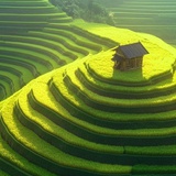 嗯272826