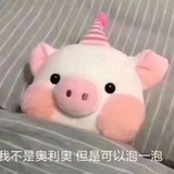 🐷