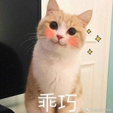 仓木麻衣