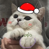 一以