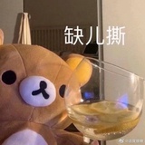 哈哈我笑不动了