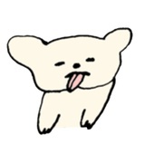 豆友178576782