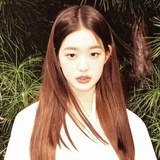 不知名普通小狗