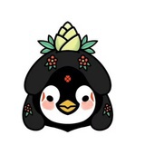 月亮海，星蝴蝶