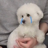 👧