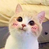 念