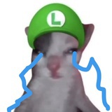 vvvwwwvvvqwer