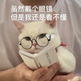 互联网gai溜子