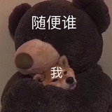 卧龙夫人