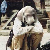犬北