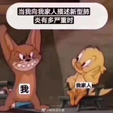 谭律律