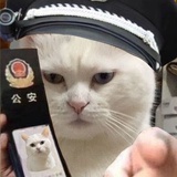早日退休