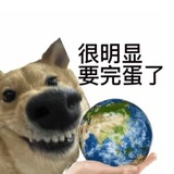 你猜我圆吗
