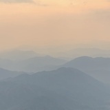 唐妮