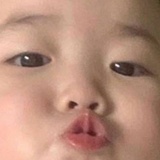 傻狗日常